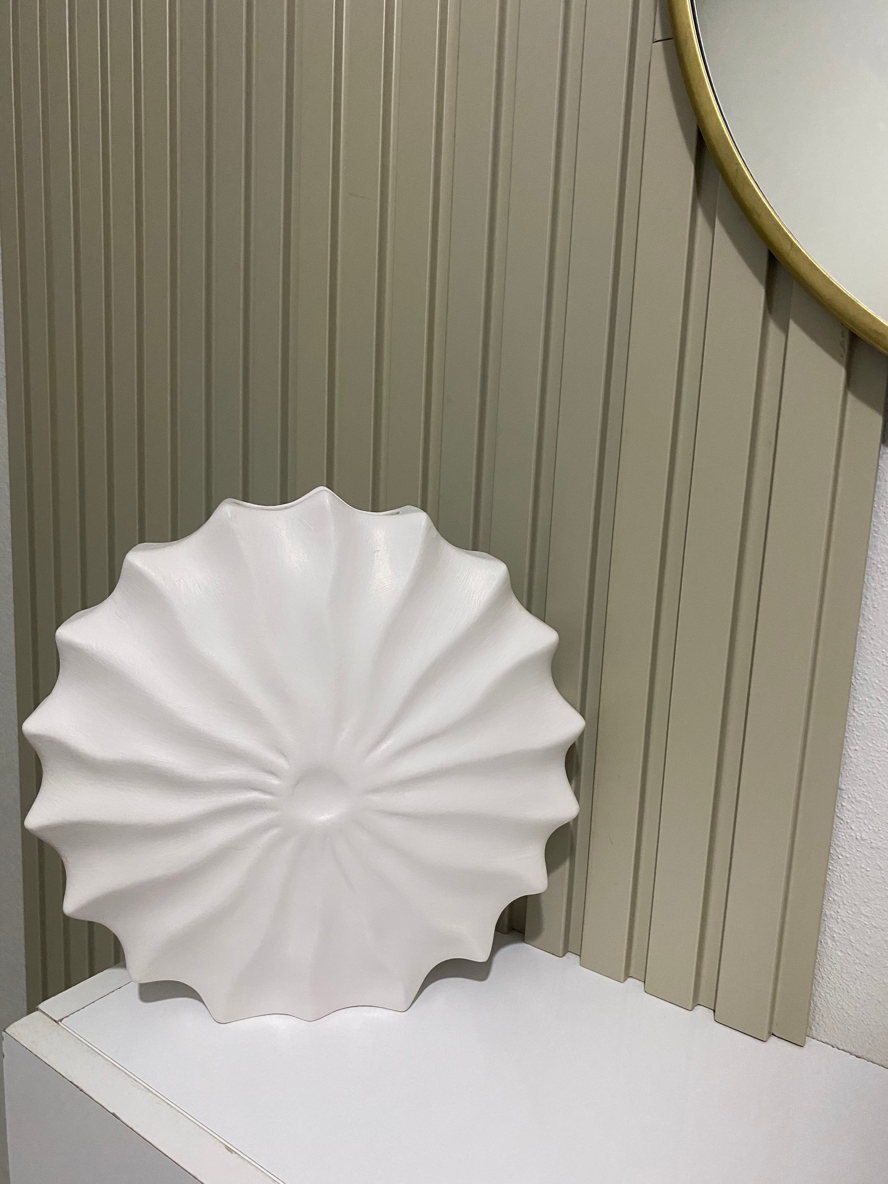 Pare Tekli Büyük Beyaz