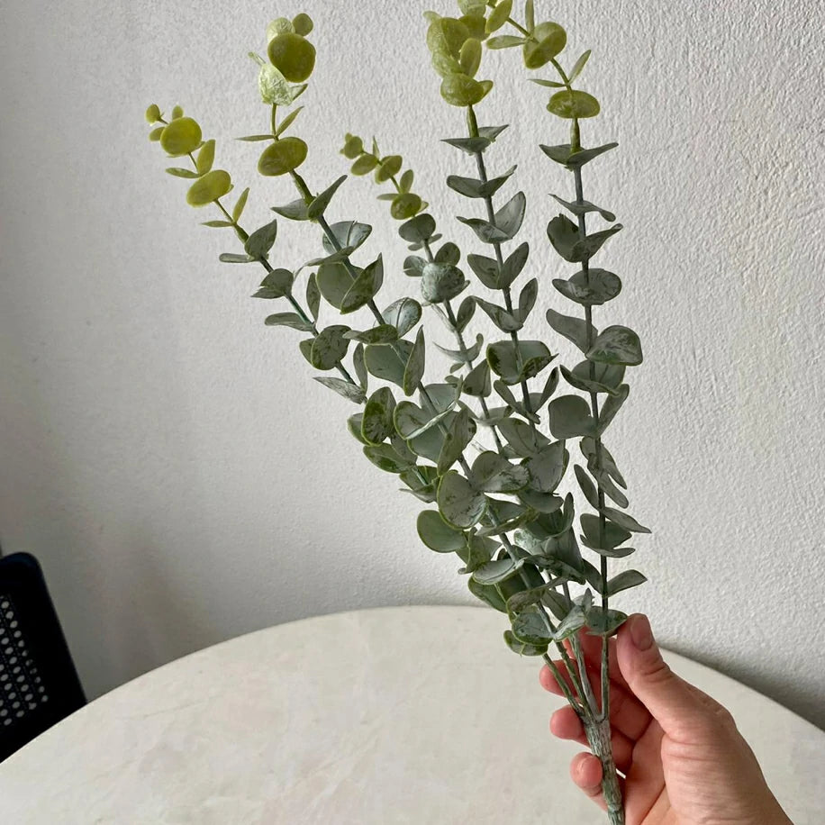 Yeşil Tozlu Okaliptus