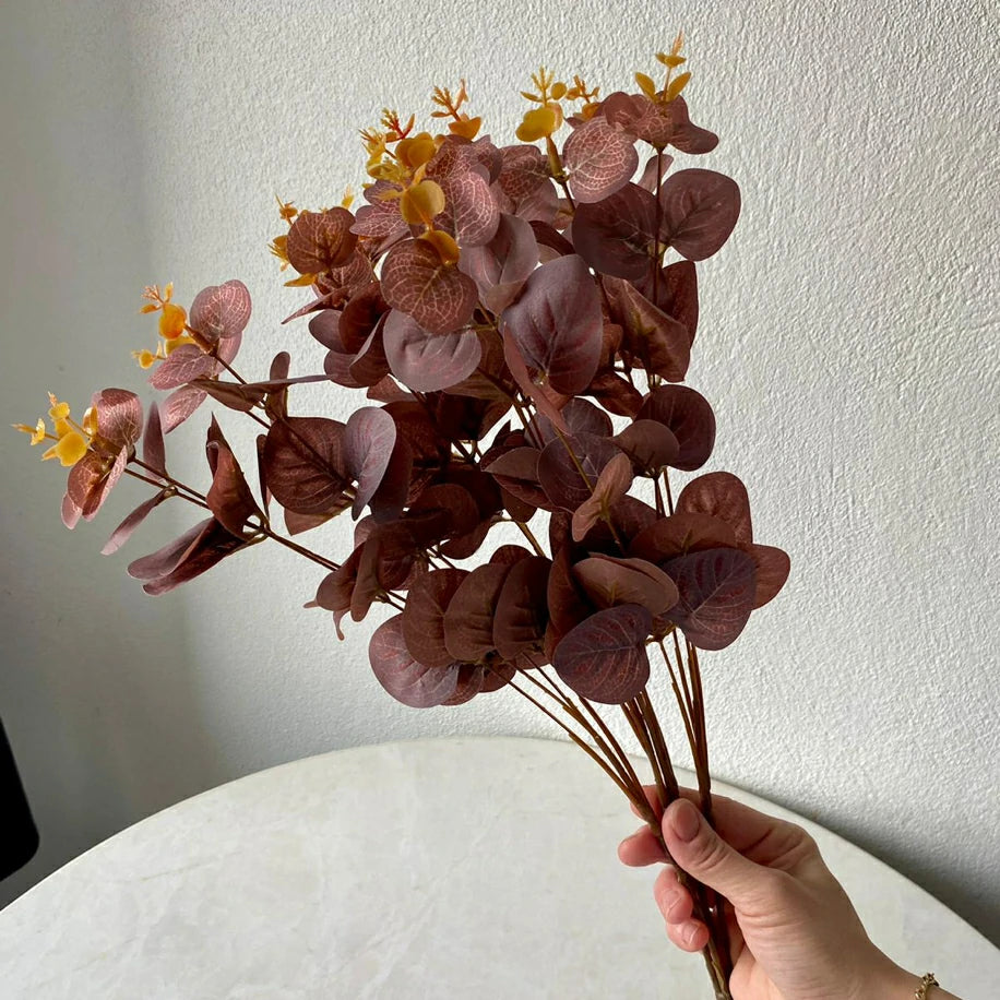 Koyu kahve Okaliptus